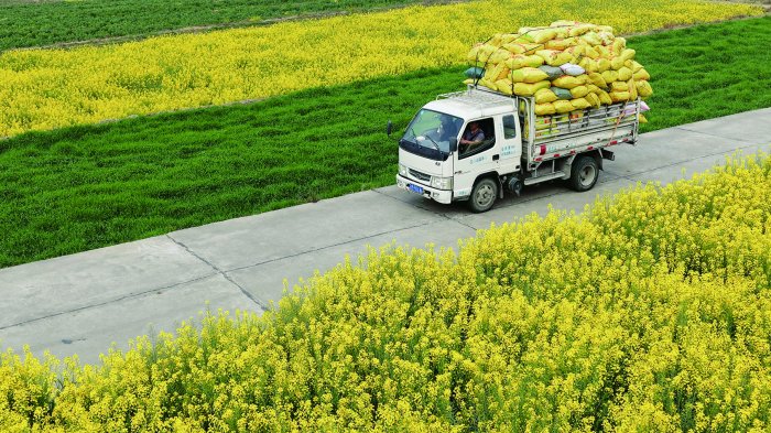 2月28日，云南省腾冲市界头镇沙坝地村农民运送春耕备用的农家肥。 新华社图