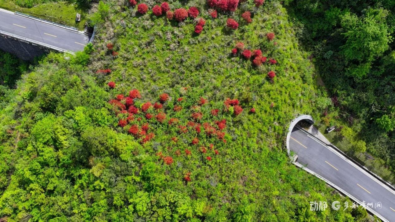 梵净山生态廊道
