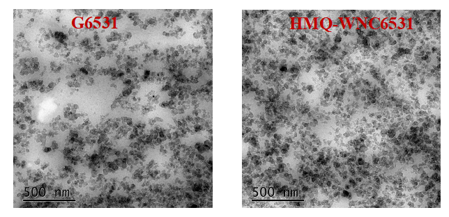 （干法胶G6531和湿法胶HMQ-WNC6531 TEM对比图）