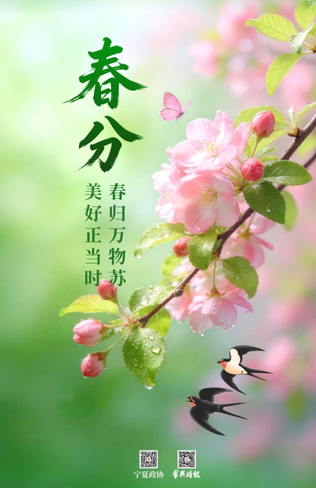 二十四节气 | 春分