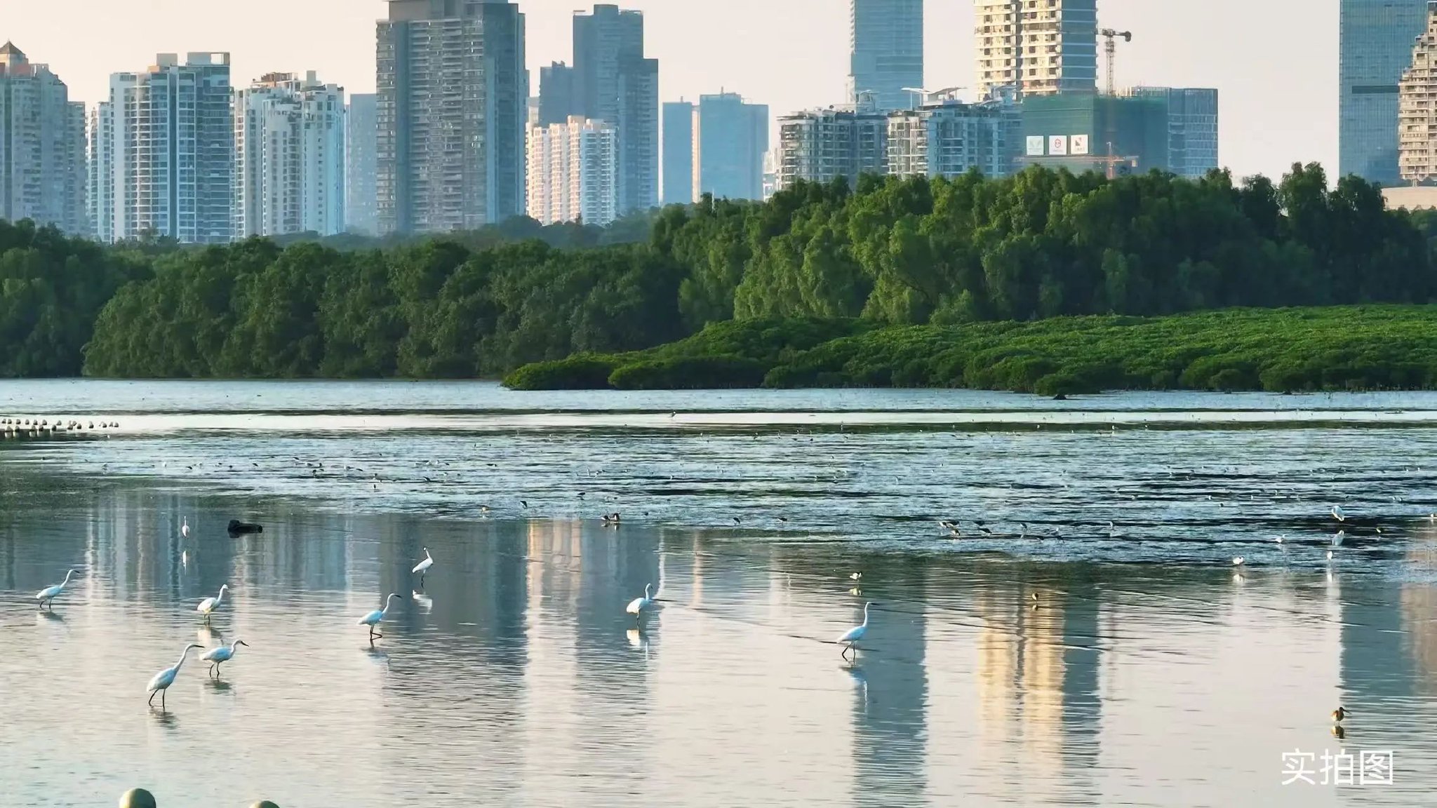 环湾城窗外实景图