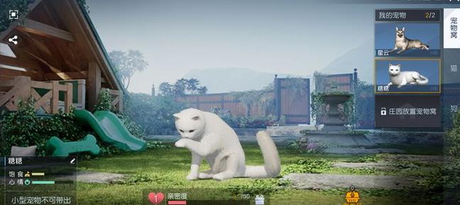 黎明觉醒：生机带猫出门攻略