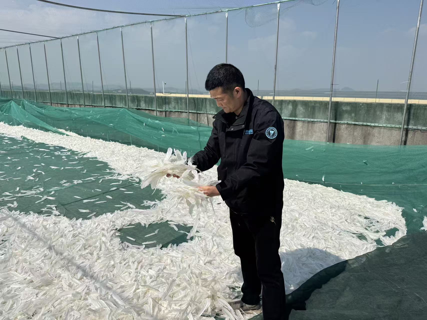 吴斌查看毛片晾晒情况 财联社记者/摄