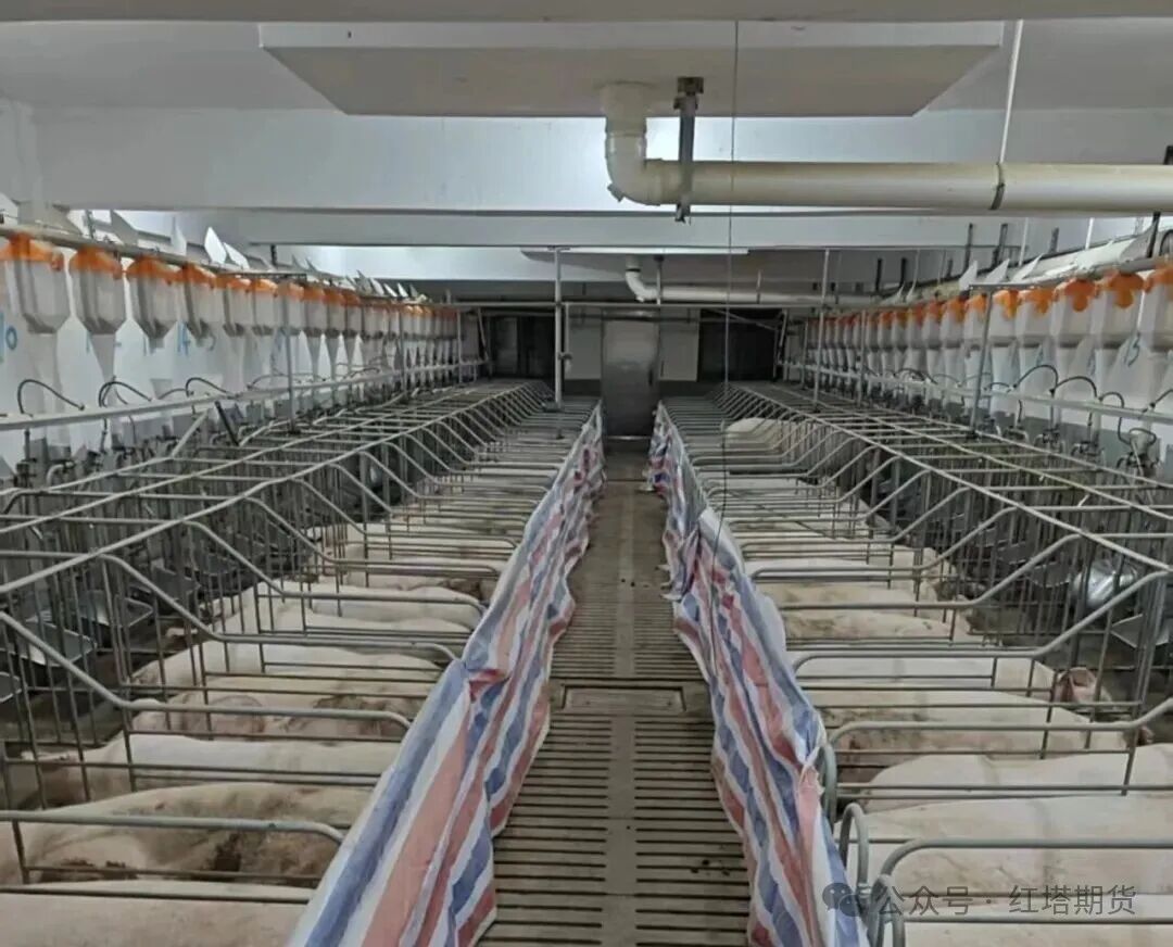 图为德康农牧食品集团股份有限公司