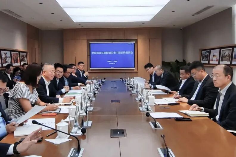 王博赴斯里兰卡开展系列商务活动