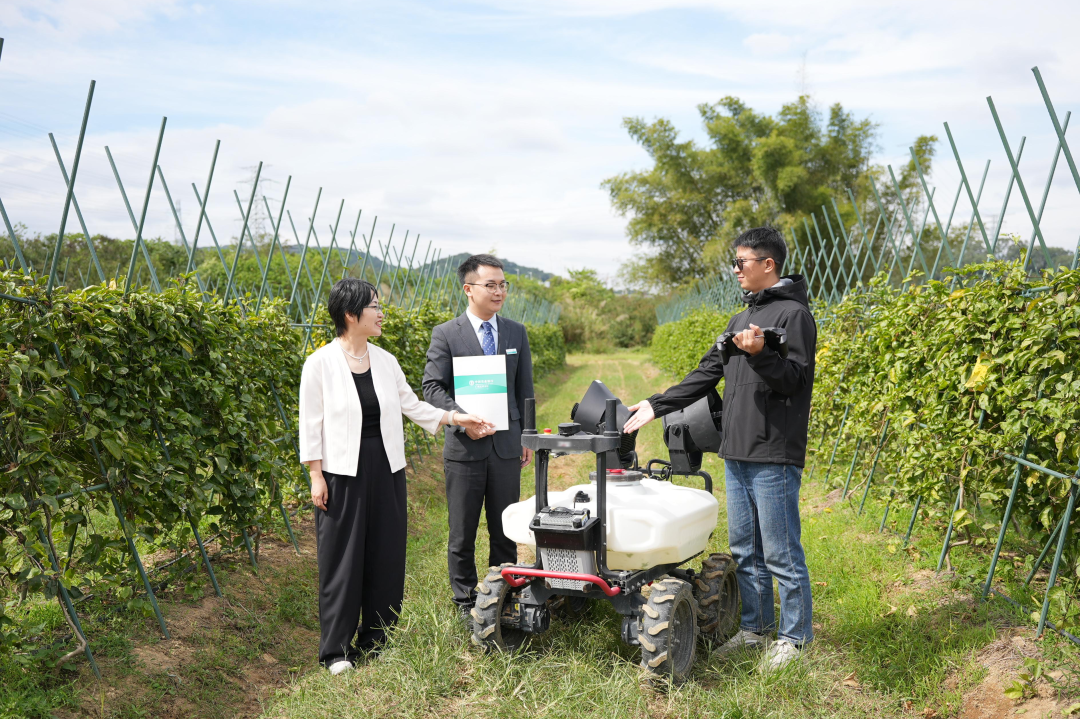 ▲农行广东广州分行客户经理实地调研极飞科技超级农场
