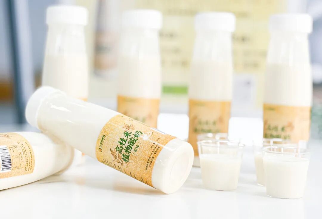 △ 高桂米植物酸奶。梁诗茗 摄