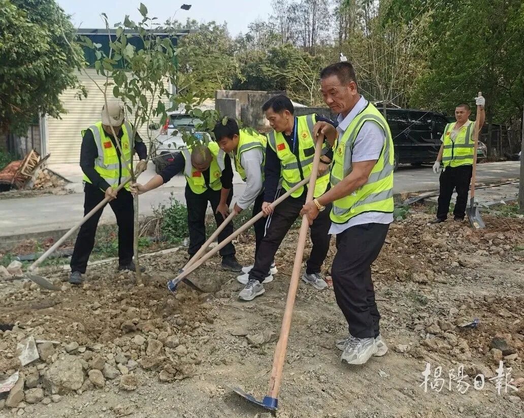 红太阳慈善会组织会员、志愿者到揭东区桂岭镇凤光村参加植树活动。通讯员 摄