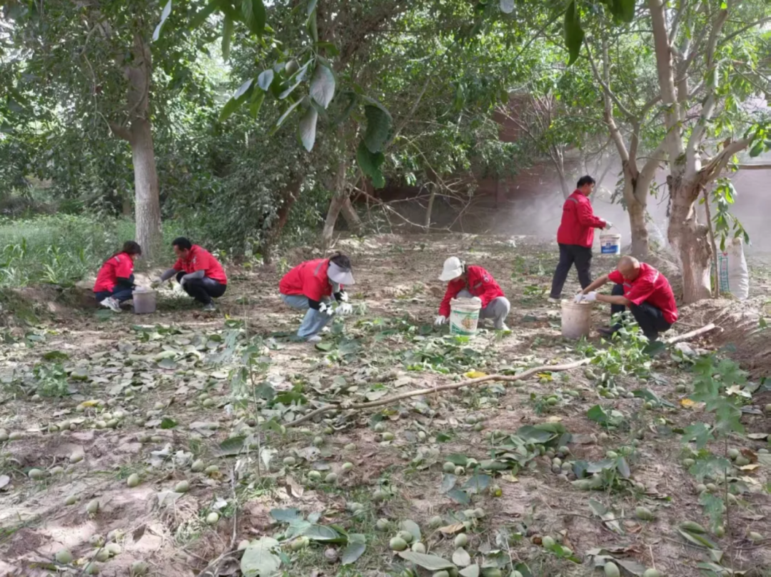 北新岩土公司开展爱心助农活动