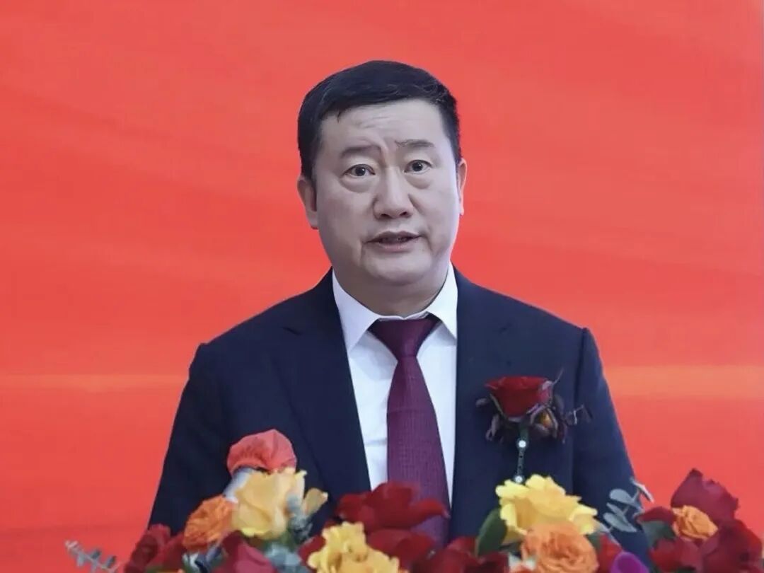 林来嵘，图源：大中矿业公众号