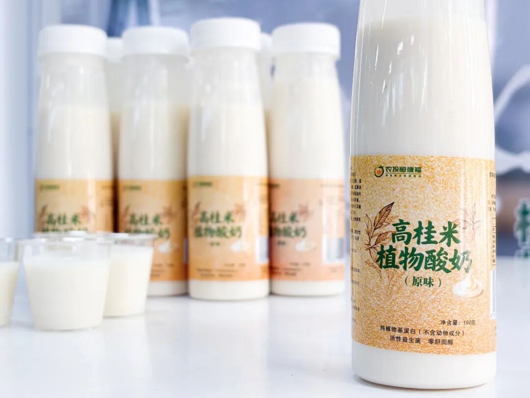 △ 高桂米植物酸奶。梁诗茗 摄