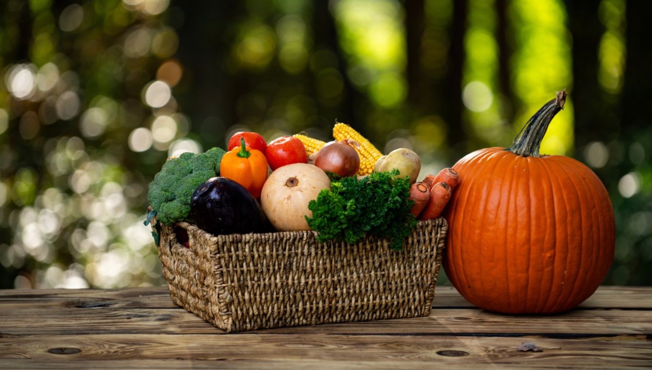 图源：图虫创意