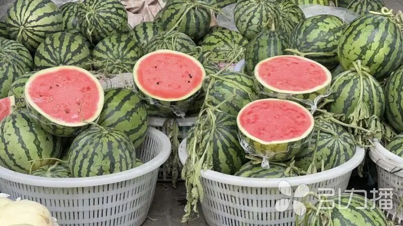 西瓜竟然已经上市了！你啃到了吗？