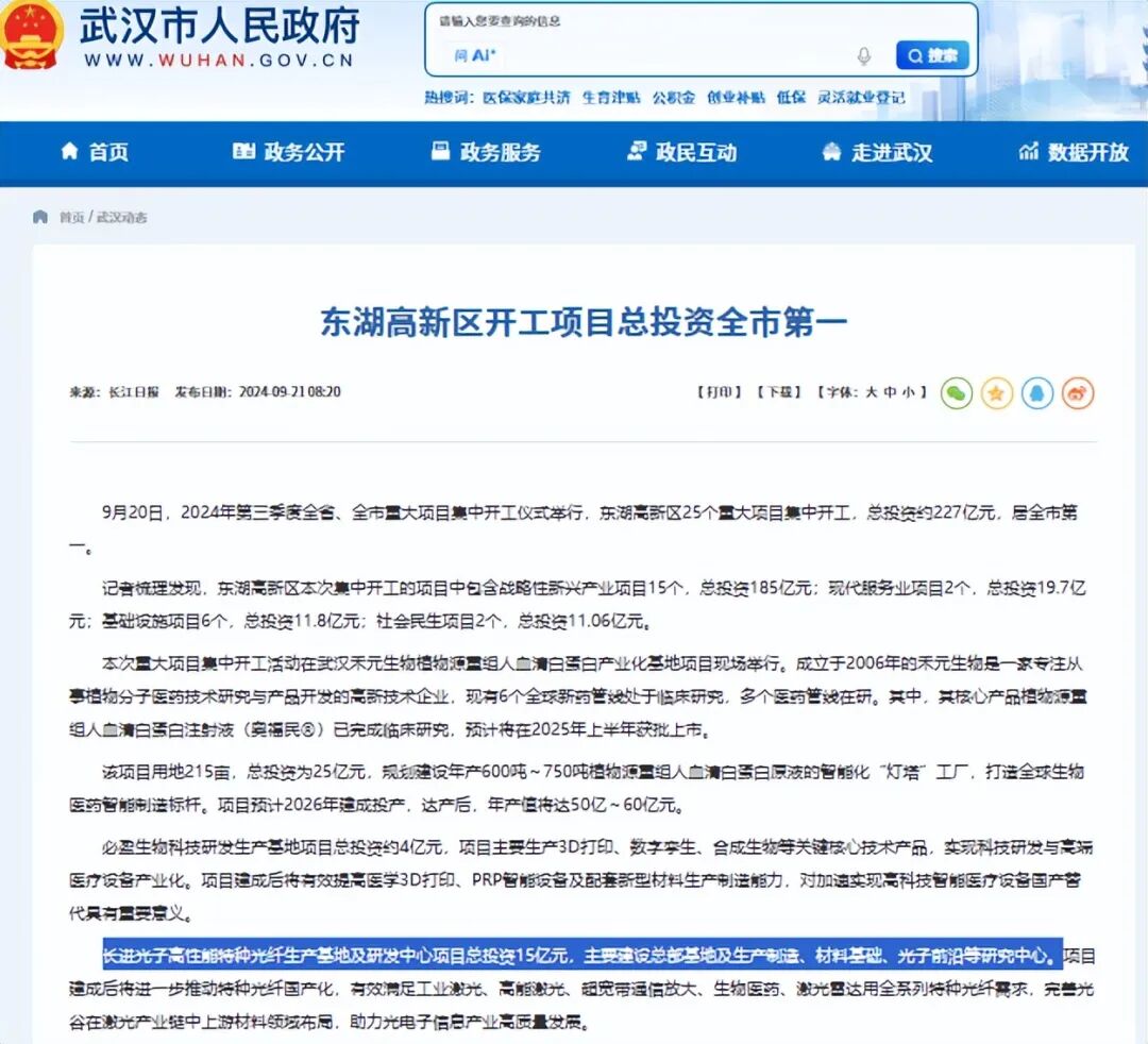 （截图来自武汉市人民政府网站）