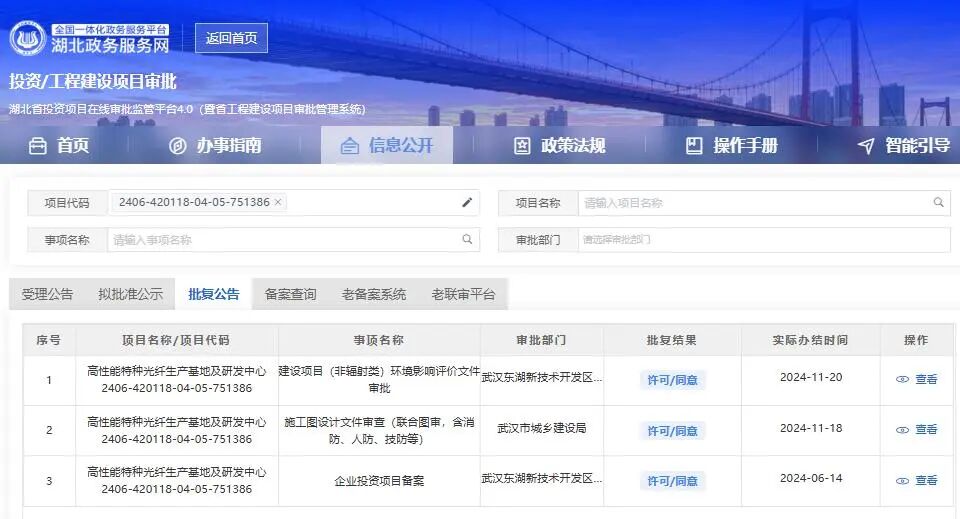 （截图来自湖北政务服务网）