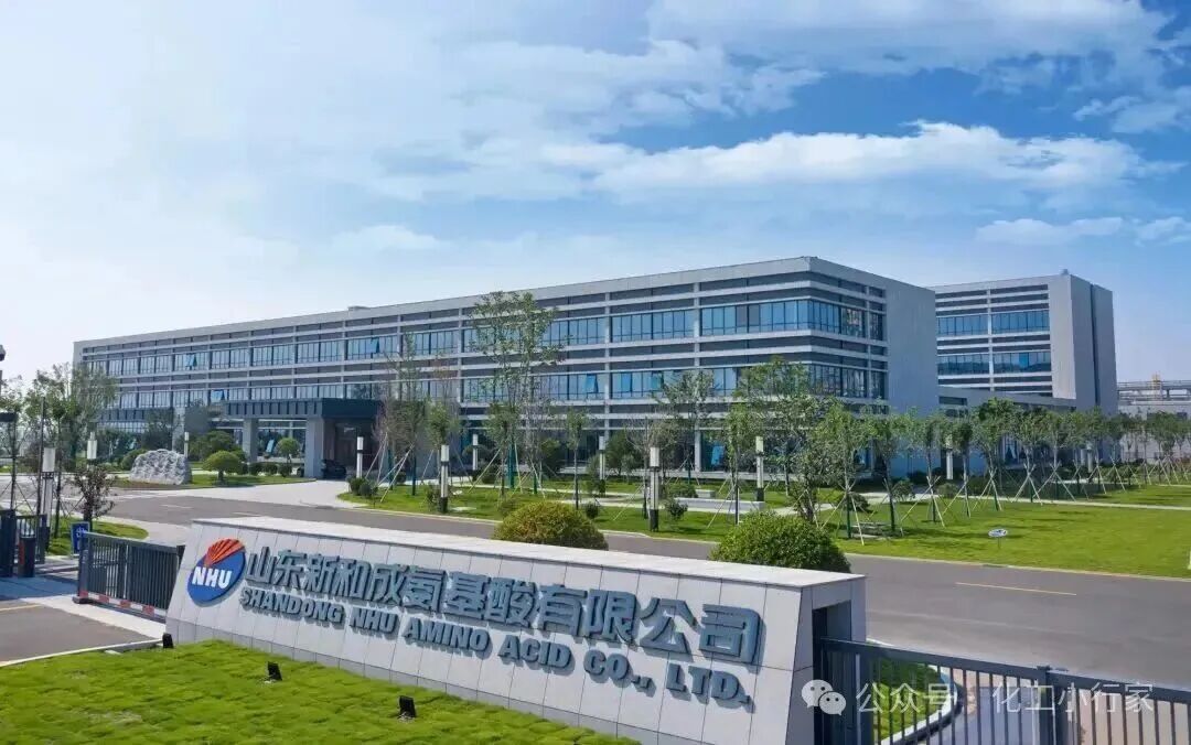 附图4 山东新和成氨基酸有限公司（DL-蛋氨酸37万吨/年）