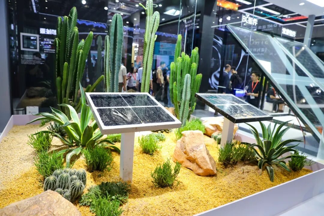 2025年6月，在上海举行的国际太阳能光伏展上，隆基绿能展示沙漠中光伏面板能利用沙和水发电