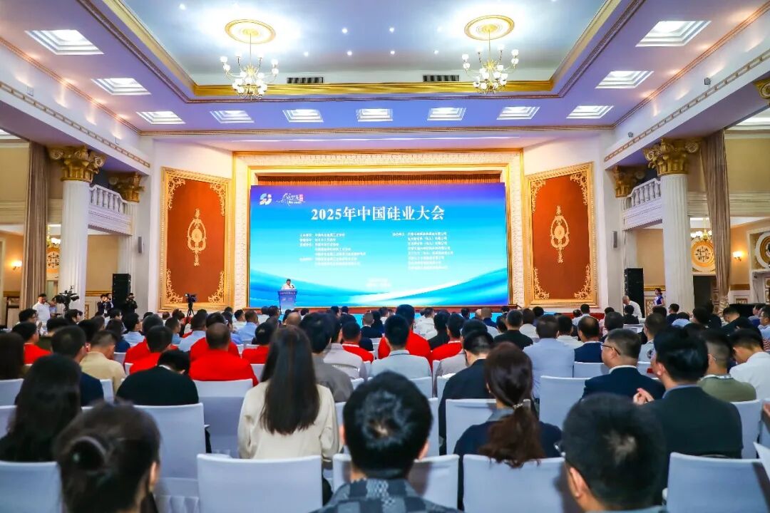 安泰科承办行业会议之中国硅业大会