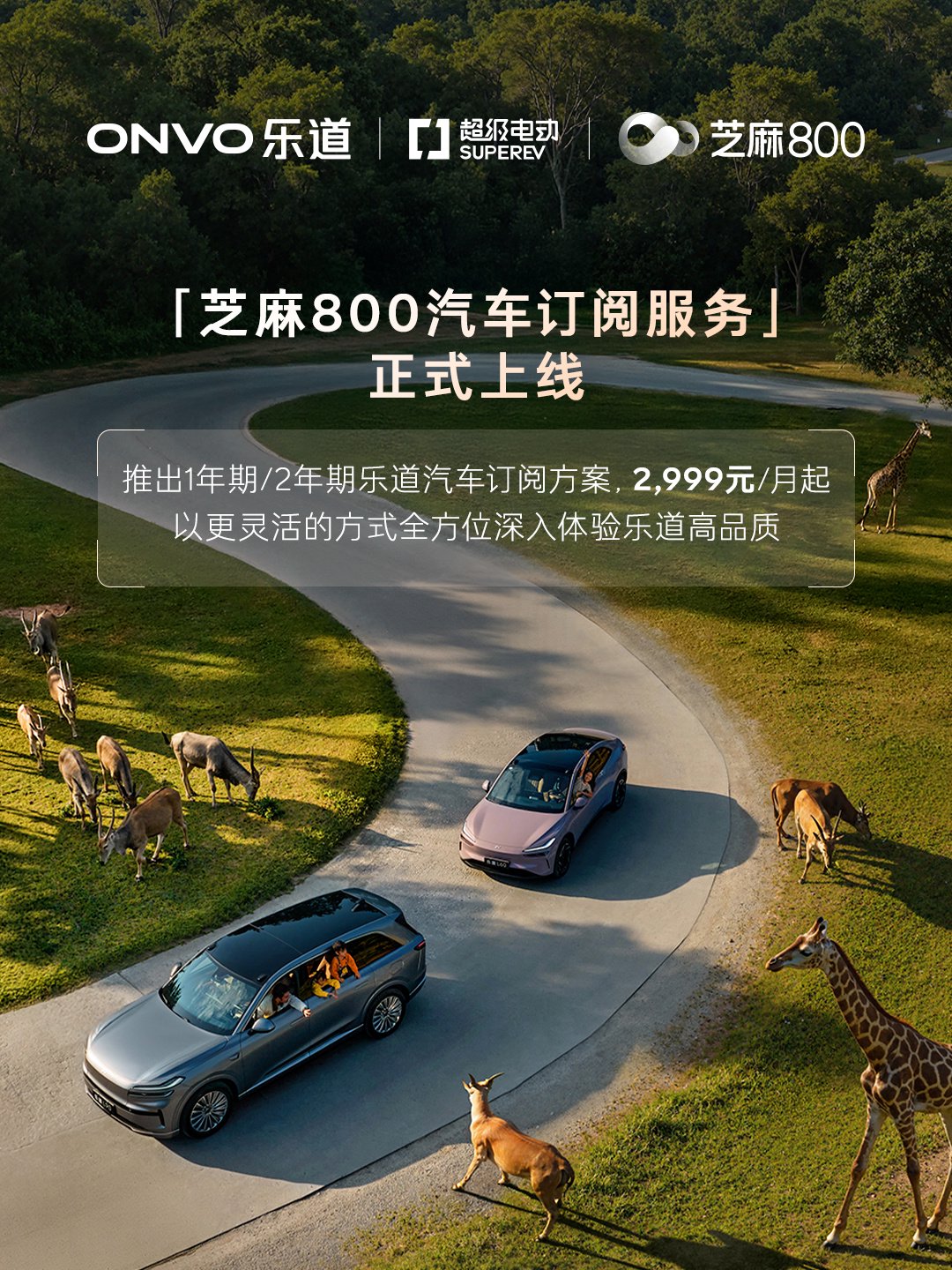 蔚来乐道 1 年期 / 2 年期「芝麻 800 汽车订阅方案」上线，2999 元 / 月起