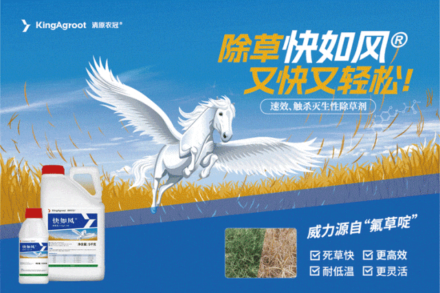 （本图为广告，与下文无关）