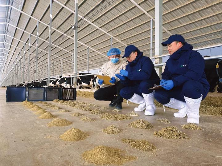 蒙牛为合作牧场提供技术支持 公司供图