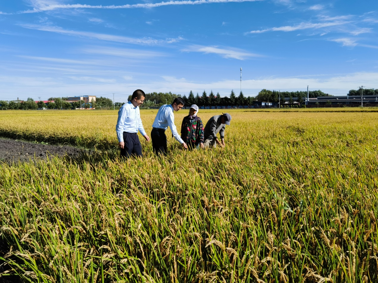 ���������绯���й�����Ա��������ͷ��չ�����й�ģʽ����