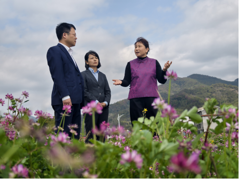 图：农行客户经理在福瑞华安试验田里了解稻种生长情况（储志强摄）