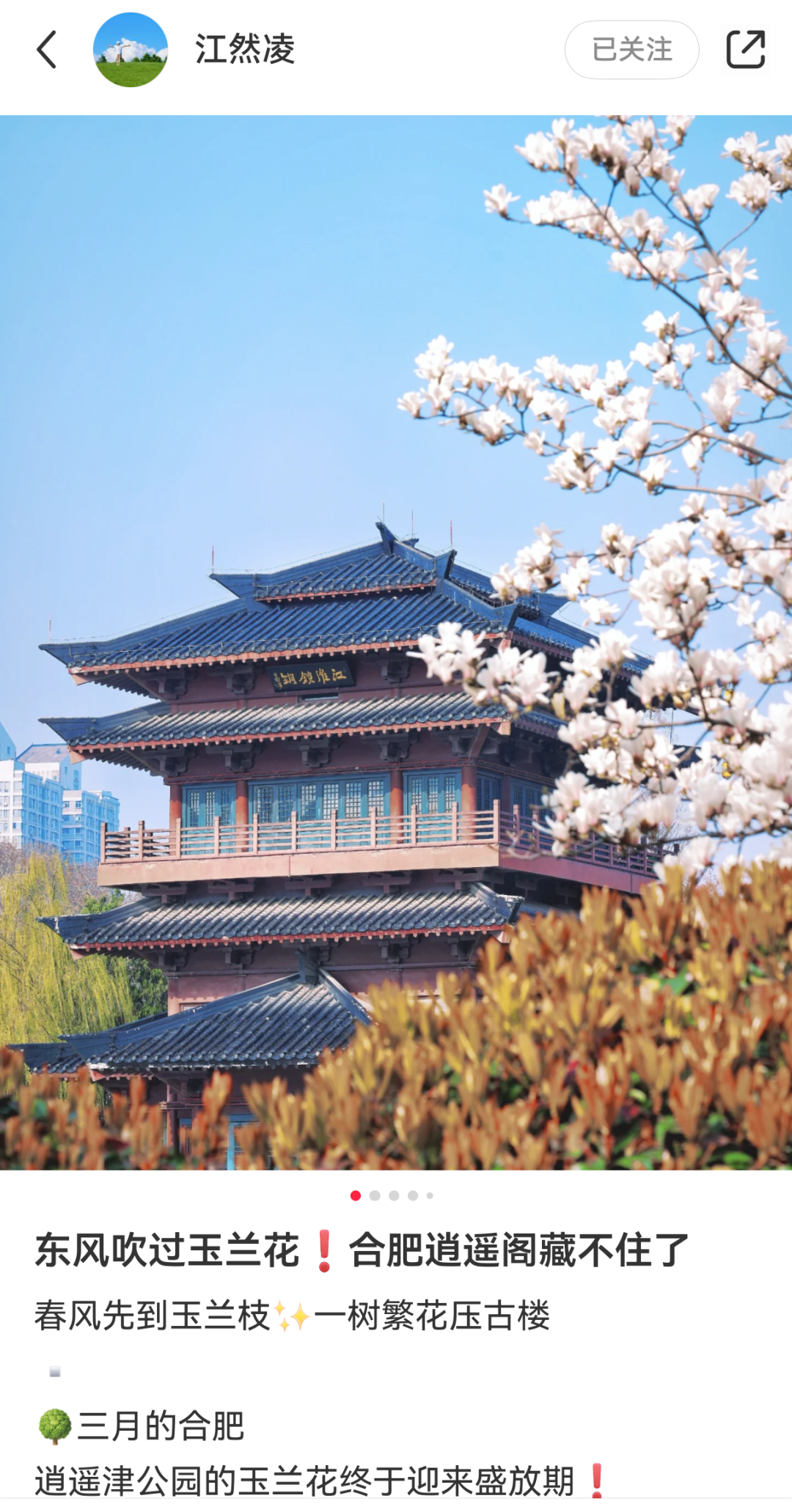 别藏了！让我看看你的相册……