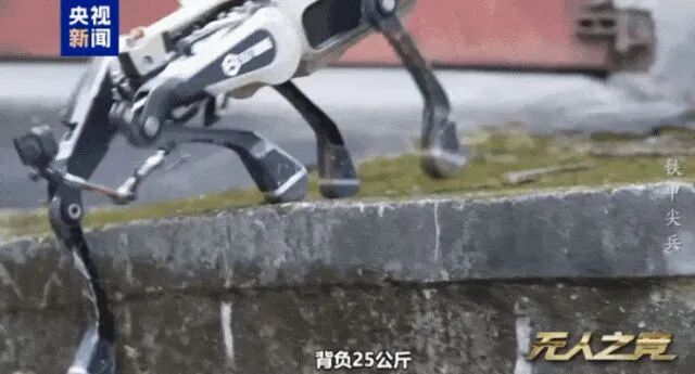 （图片来源：央视新闻微信公众号）