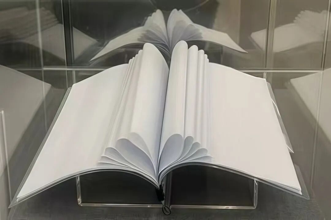 (本图由黑龙江省报记者现场拍摄)