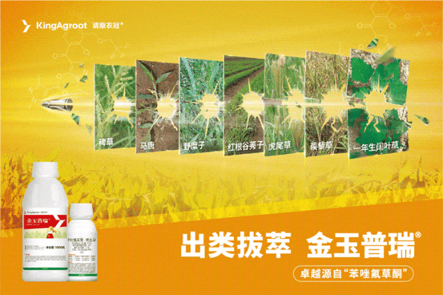 （本图为广告，与下文无关）