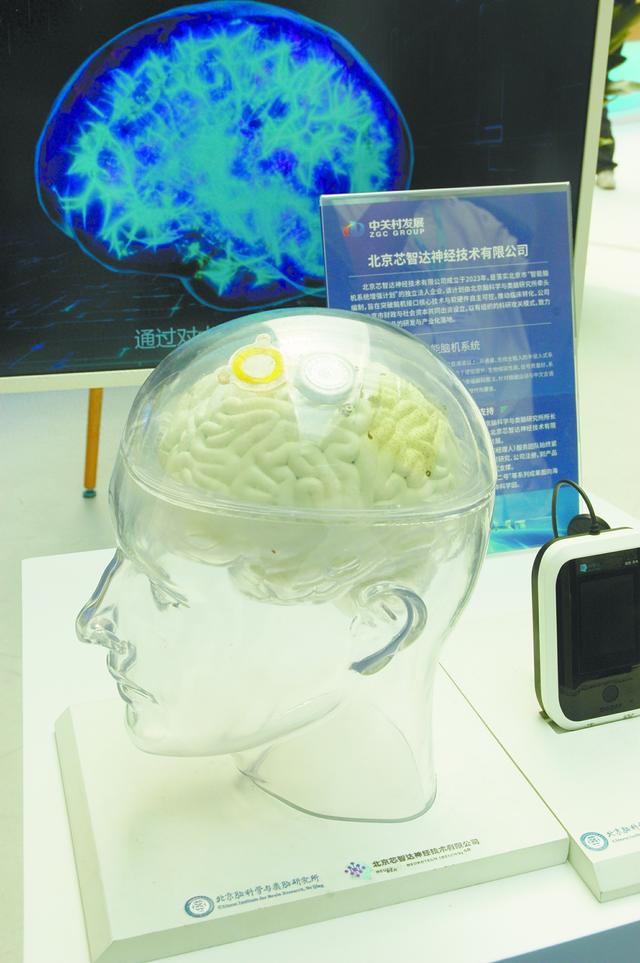 现场展示的“北脑一号”智能脑机系统模型 马 俊摄
