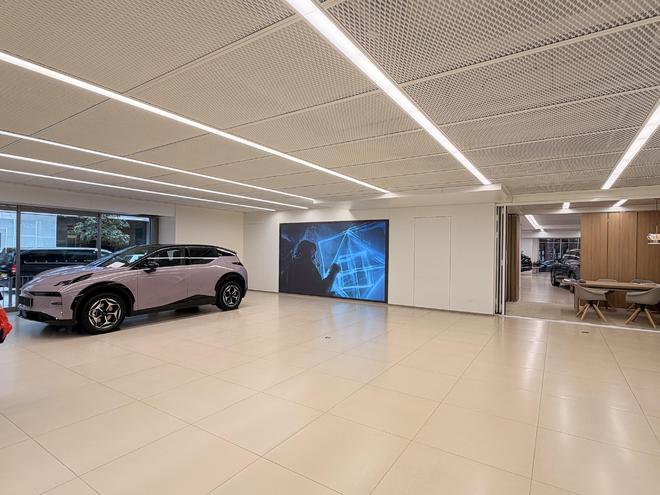 【特写】8年补贴政策退场前夜，香港居民疯抢国产电动车