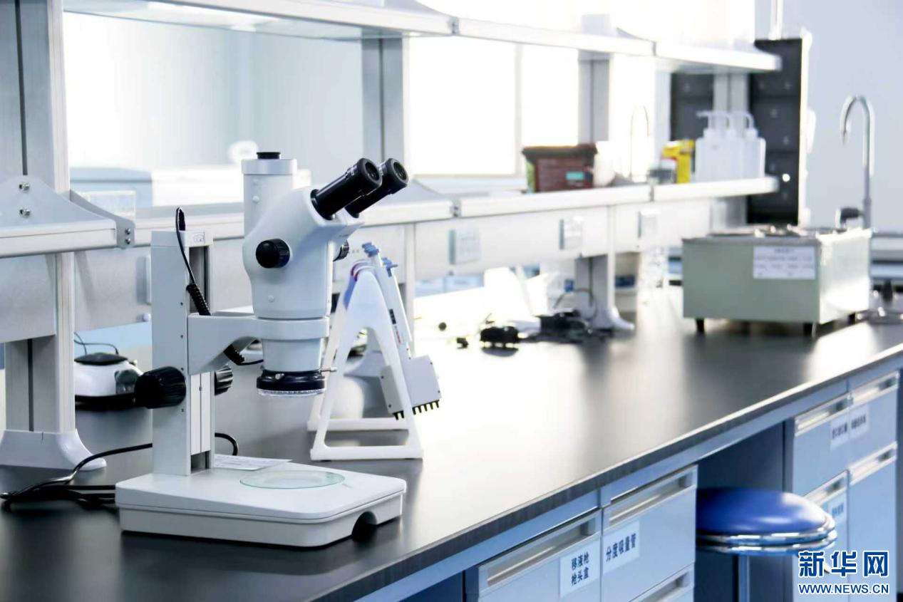   2023年2月10日，云南西草资源开发有限公司研发实验室（资料图）。新华网发