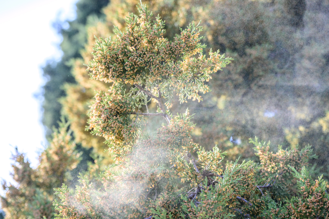 李现晒图直呼 “快折磨死我了”！不少人已中招，医生提醒：出现这些情况别硬扛