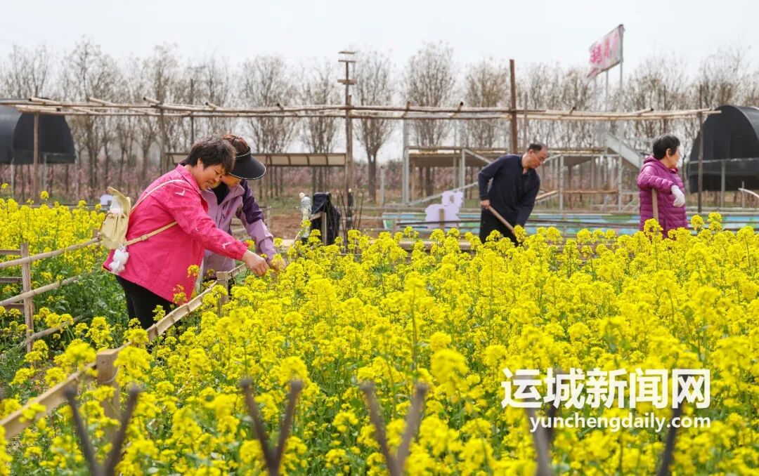 在运城，这些农场，已不仅是农场～