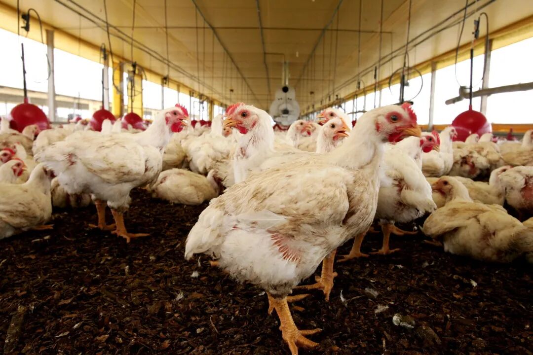 图片来源：摄图网