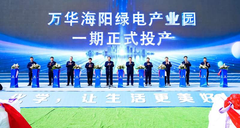 万华海阳绿电产业园一期正式投产。受访者供图