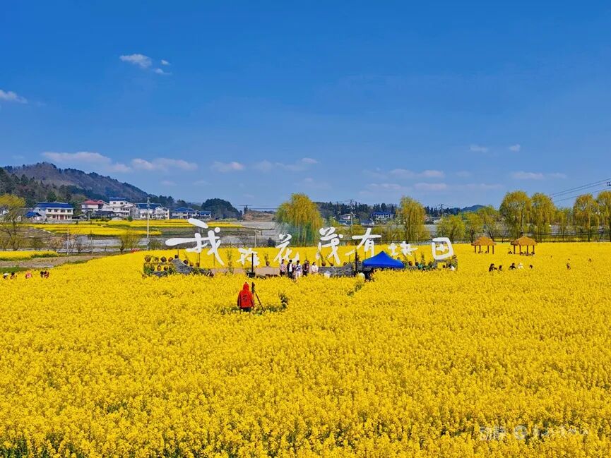 雀巢一辆载有12吨巧克力的卡车被盗，KitKat表示：“犯罪分子的品味确实非同一般”