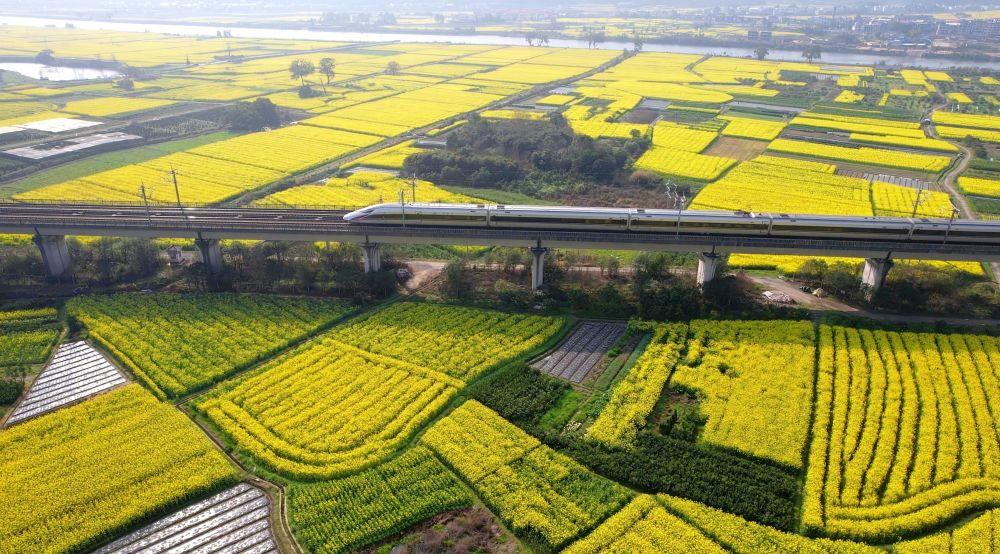 AI上春天 从这幅穿越四百年的画开始