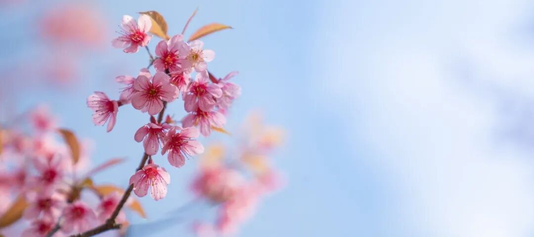 ETF热点周报丨油价继续高位运行，上证指数回撤后反弹