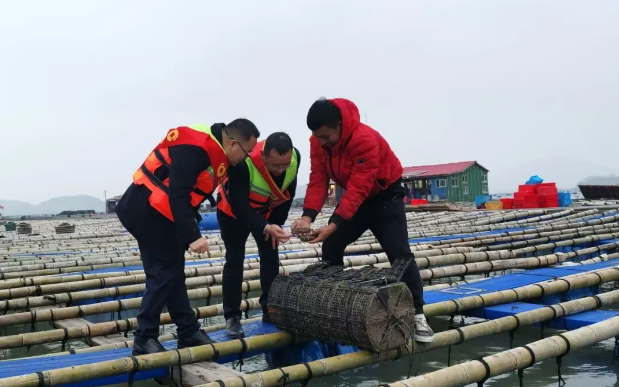 （建行福建省分行工作人员为鲍鱼养殖户送“贷”）