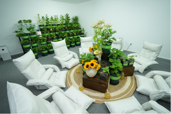 当萤火虫基因落入植物叶片