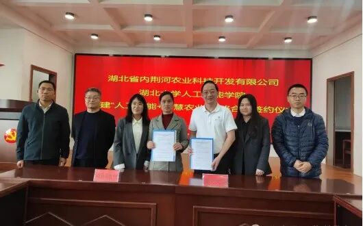 校企合作，打造智慧农场！荆州女粮王的愿望实现了