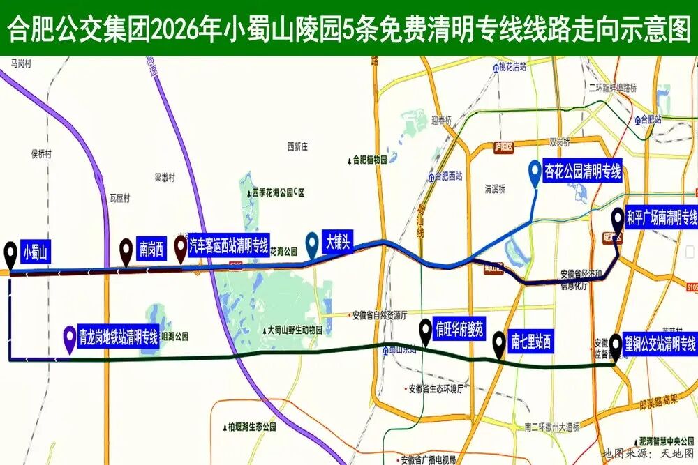 合肥公交开通7条免费清明专线