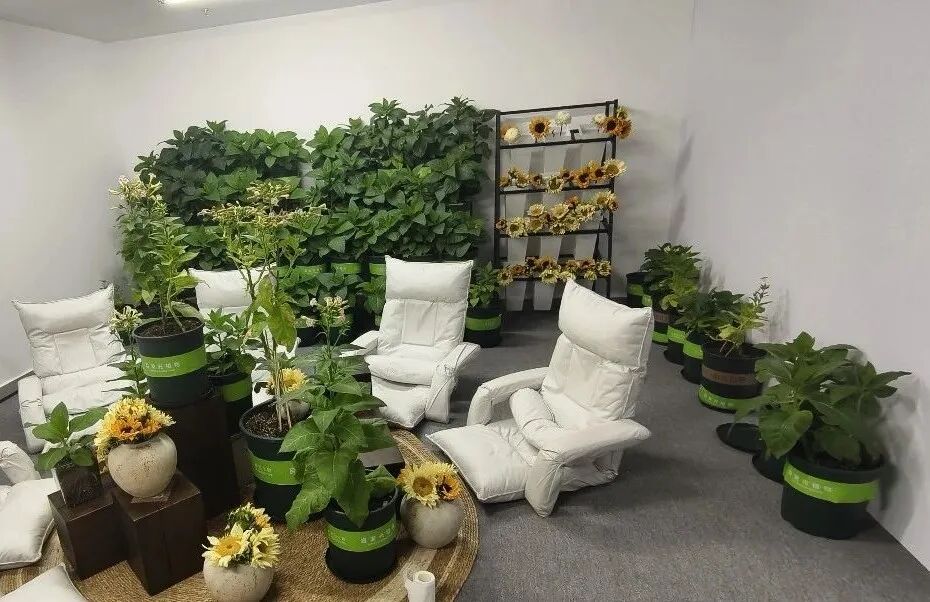 △ 在灯光下的发光植物。