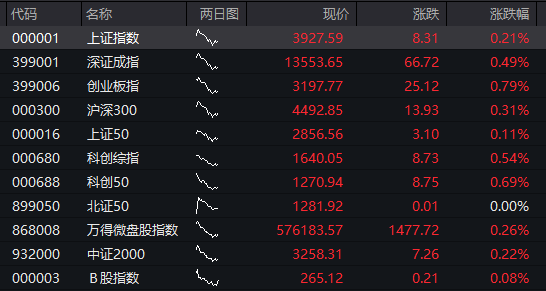 风险提示及免责条款