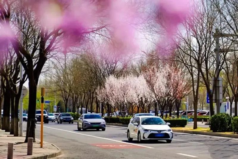 每天车闻：奕境汽车核心管理层曝光，国际对成品油价格采取调控措施
