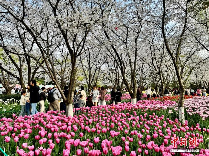 Color Walk解锁粉色四月天  新潮玩法催生春日消费