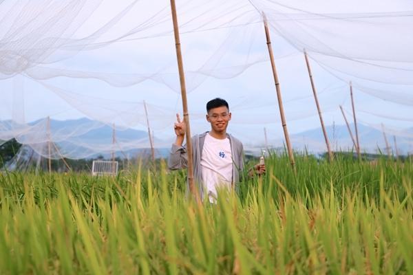 袁貴鑫在做田間試驗。受訪者供圖